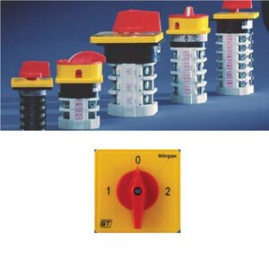 Rotary cam switches